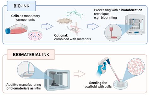 Alginate: Biocompatible Superstar for 3D Printing and Tissue Engineering!