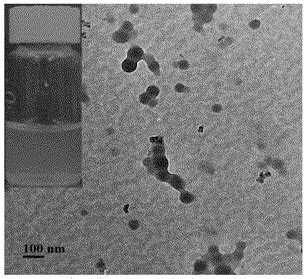  Quaternized Polyethyleneimine: A Powerhouse for Antibacterial Coatings and Water Purification!