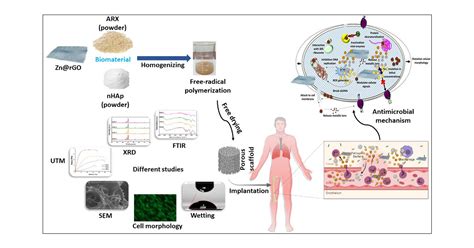  Magnetite Biocompatibility Applications for Enhanced Tissue Regeneration!