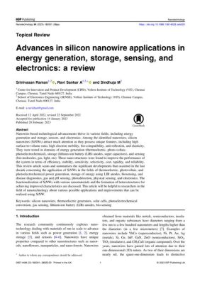 Silicon Nanowires: Revolutionizing Energy Storage and Advanced Electronics!