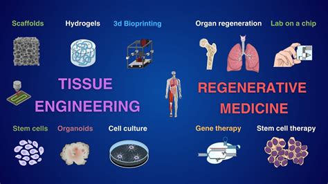  Urethane: Unlocking Endless Possibilities in Biomedical Engineering and Regenerative Medicine!