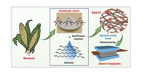 Yam Starch: A Versatile Biopolymer for Food and Industrial Applications!